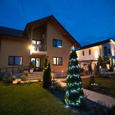 Pensiunea Diana Trestiana Exterior photo